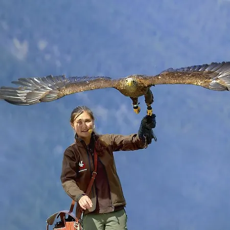 Penzion Apart Brigitte